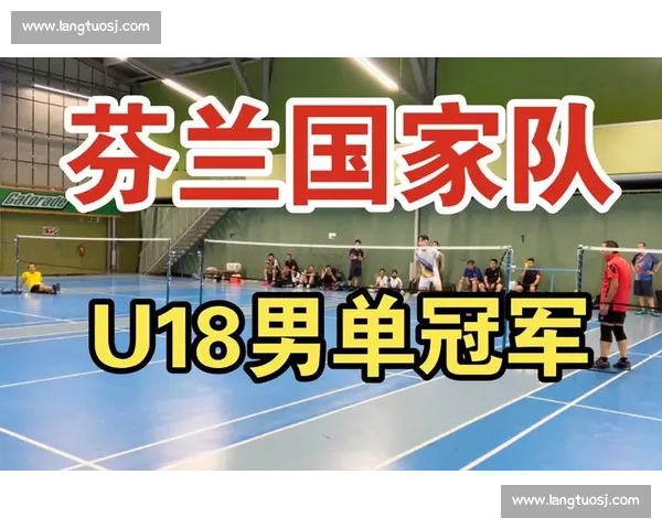 芬兰对阵列支国家队实力对比与比赛前景走势深度解析